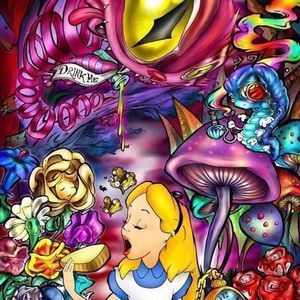 Meet your Posher, Josh